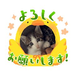 [LINEスタンプ] 動くミュー