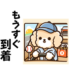 [LINEスタンプ] 少年野球 トイプー 昼の連絡