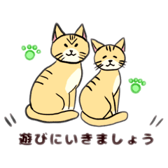 [LINEスタンプ] 【猫✖️敬語】スタンプ