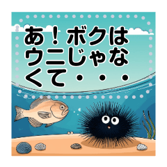 [LINEスタンプ] ウニのメッセージスタンプ 文字入れ自由