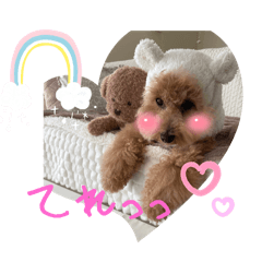 [LINEスタンプ] ピノさんwith5