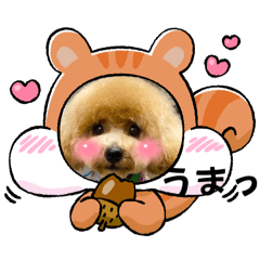 [LINEスタンプ] ピノさんwith6