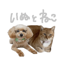 [LINEスタンプ] えらい家のいぬとねこ