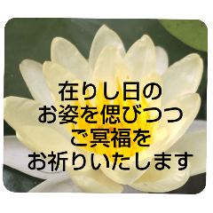 [LINEスタンプ] お悔やみの言葉③訃報.法事.法要シンプル蓮