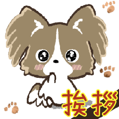 [LINEスタンプ] うちの子のスタンプ♡挨拶♡愛犬パピヨン