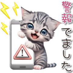 [LINEスタンプ] アニメ猫♡防災 災害