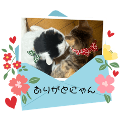 [LINEスタンプ] ななとみみスタンプ