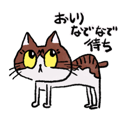 [LINEスタンプ] ねこねこな1日