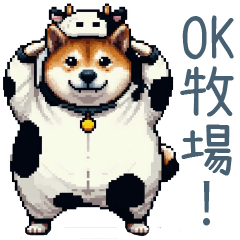 [LINEスタンプ] 昭和死語を使う柴犬【日常・おもしろい】