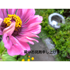 [LINEスタンプ] MyGardenFlower10