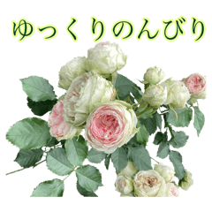 [LINEスタンプ] 小さな薔薇園