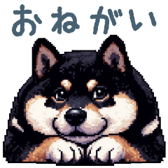 [LINEスタンプ] 毎日使える黒柴犬2【かわいい・日常会話】