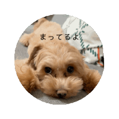 [LINEスタンプ] おかえりぽよ助