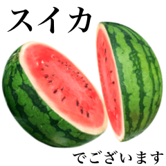 [LINEスタンプ] 【敬語】 みずみずしい スイカの画像（メイン）