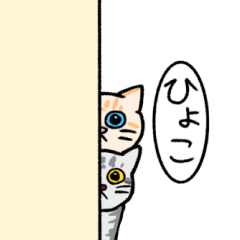 [LINEスタンプ] にゃわいい猫スタンプ ピノ＆ラテ 1