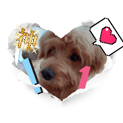 [LINEスタンプ] 家のワンちゃん,5