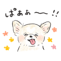 [LINEスタンプ] おじいわん チワワのえいと (修正版)