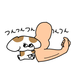 [LINEスタンプ] 筋肉男子が好き子ちゃん