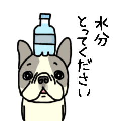 [LINEスタンプ] 夏フレブル