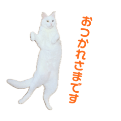 [LINEスタンプ] しゃあ猫団【2】