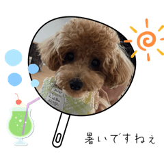 [LINEスタンプ] ピノさんwith7