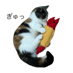 [LINEスタンプ] 我が家の愛猫、てんちゃん5