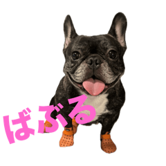 [LINEスタンプ] ぱふぱふばぶる