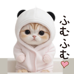 [LINEスタンプ] かわいいスコティッシュ猫 パンダ帽 日常の画像（メイン）