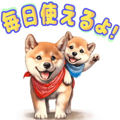 [LINEスタンプ] 毎日使える柴犬のスタンプの画像（メイン）