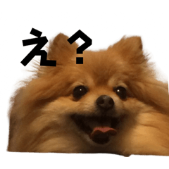 [LINEスタンプ] ぷりちぃルビー