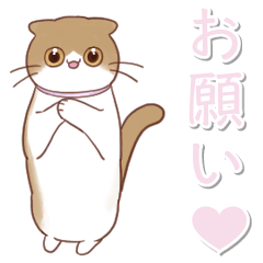 [LINEスタンプ] ねこのミティ