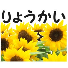 [LINEスタンプ] *花*ひまわり