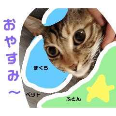 [LINEスタンプ] コロコロ日常ナナP