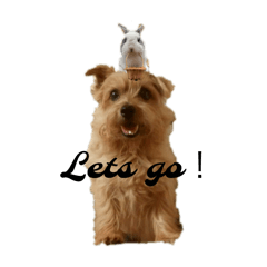 [LINEスタンプ] どんぐりぶーぶー