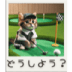 [LINEスタンプ] スポーツ大好き猫ちゃん