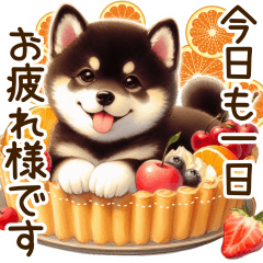 [LINEスタンプ] 柴犬の日常♡スイーツ三昧