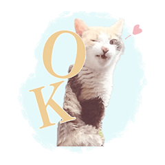 [LINEスタンプ] 野良猫にゃんにゃんにゃん