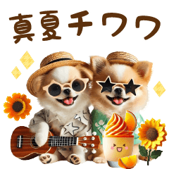 [LINEスタンプ] チワワと真夏の日常スタンプ