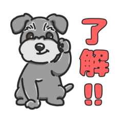 [LINEスタンプ] ミニシュナこむぎ