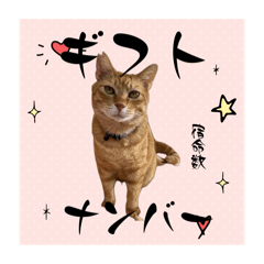 [LINEスタンプ] ちゃーくんの数秘術/魅六数秘
