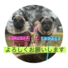 [LINEスタンプ] オラマー兄妹