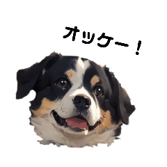 [LINEスタンプ] 可愛い犬☆毎日使えるスタンプの画像（メイン）