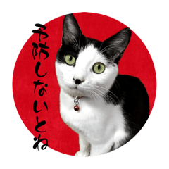 [LINEスタンプ] みい子日常使い10