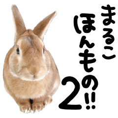 [LINEスタンプ] まるこほんもの！！2