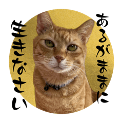[LINEスタンプ] ちゃーくんからパパへ14