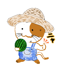 [LINEスタンプ] ねこまる（夏編）