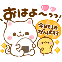 [LINEスタンプ] 毎日使える♡ねこねこにゃんこ