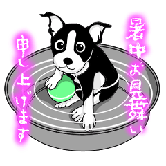 [LINEスタンプ] ボストンテリアと。