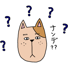 [LINEスタンプ] 猫田くん