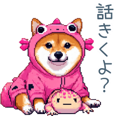 [LINEスタンプ] 友達想いのウーパールーパー柴犬【連絡用】